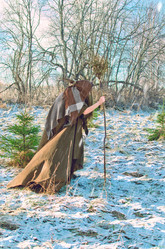 Similar image 21221767