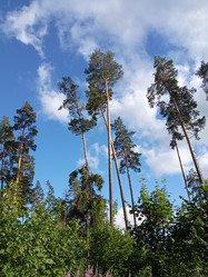 Similar image 21205926