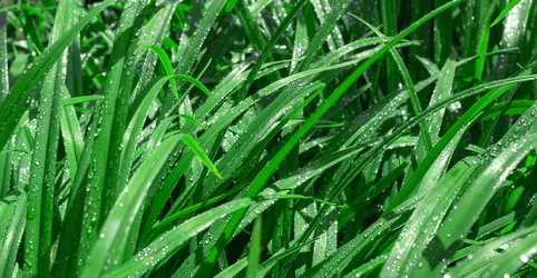 Similar image 21204684