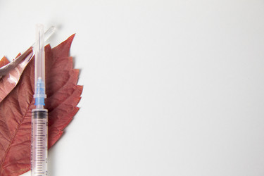 Similar image 21204691