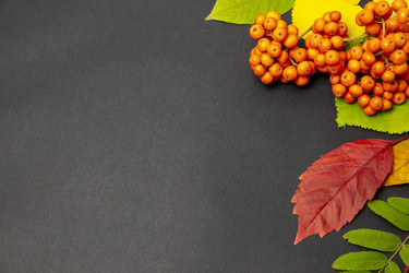 Similar image 21206560