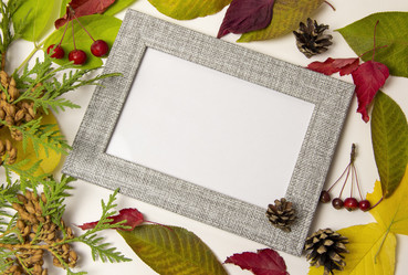 Similar image 21206561