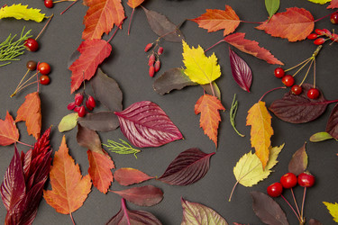 Similar image 21206562