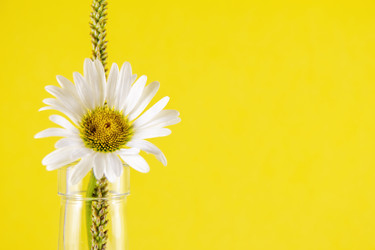 Similar image 21206564