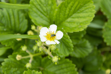 Similar image 21206565