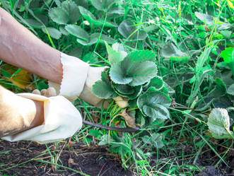 Similar image 21206566