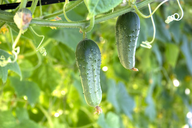 Similar image 21206568