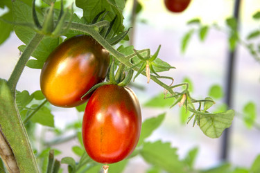 Similar image 21206569