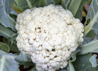 Similar image 21206570