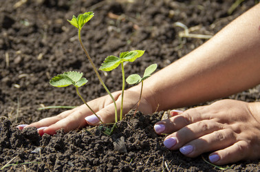 Similar image 21206572