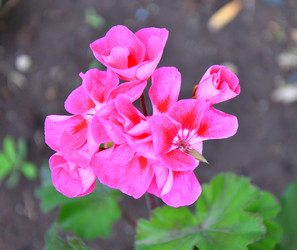 Similar image 21246945