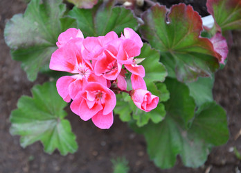 Similar image 21246947