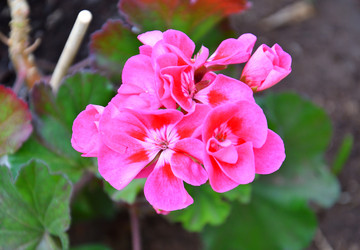 Similar image 21246948