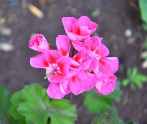 Similar image 21246952