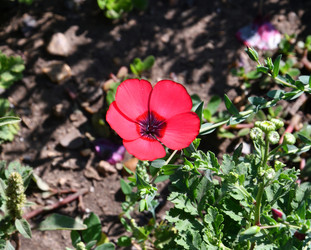 Similar image 21246992