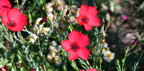 Similar image 21246993