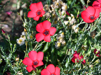 Similar image 21247023