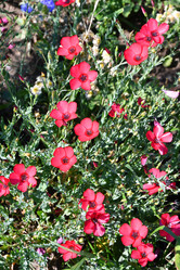 Similar image 21247024