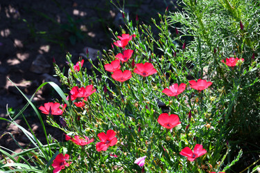 Similar image 21247025