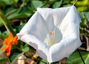 Similar image 21247027