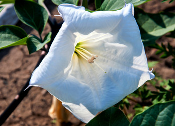 Similar image 21247028