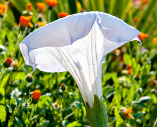 Similar image 21247029