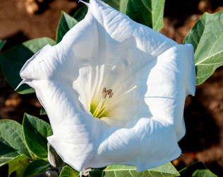 Similar image 21247030