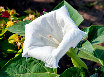 Similar image 21247031