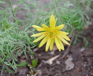 Similar image 21247032