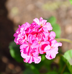 Similar image 21247033