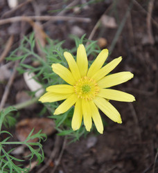 Similar image 21247065