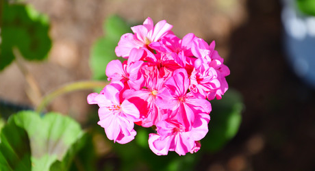 Similar image 21247066