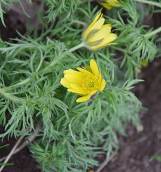 Similar image 21247067