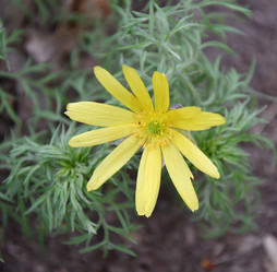 Similar image 21247068