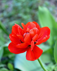 Similar image 21247186