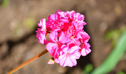 Similar image 21247188