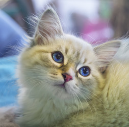 Similar image 21209099