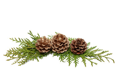 Similar image 21207495