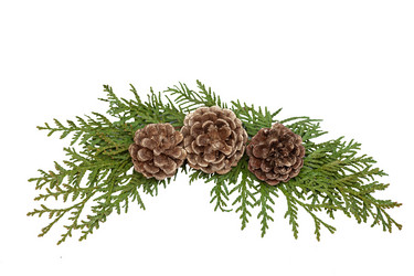 Similar image 21207496