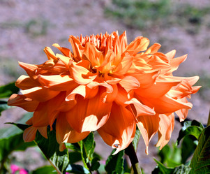 Similar image 21247193