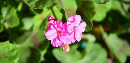 Similar image 21247263