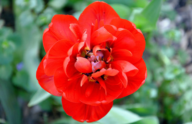 Similar image 21247265