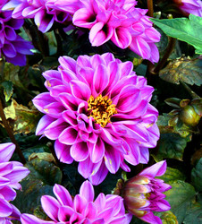 Similar image 21247266