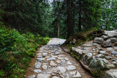 Similar image 21214406