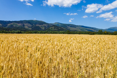 Similar image 21214410