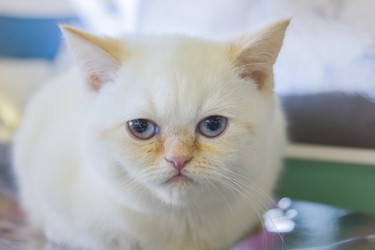 Similar image 21209100