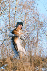 Similar image 21221803