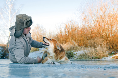 Similar image 21221812