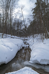 Similar image 21206062