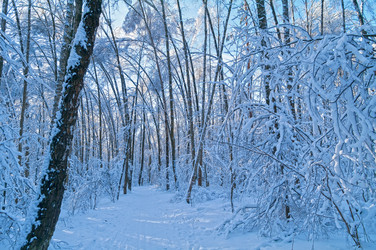 Similar image 21206063